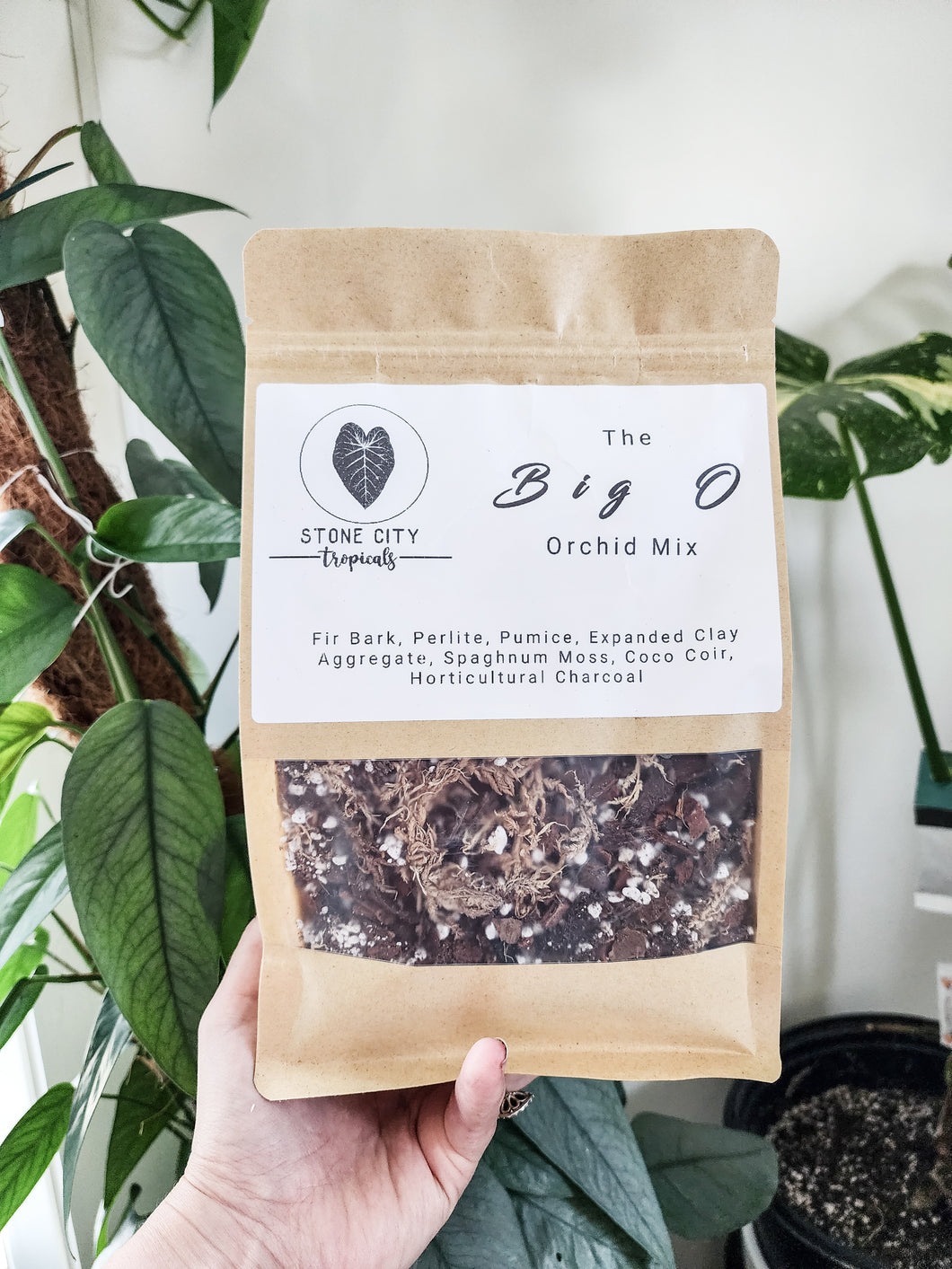 Big-O Orchid Mix